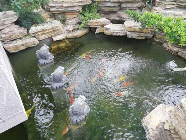 別墅花園設(shè)計(jì)里添加個(gè)魚(yú)池設(shè)計(jì)怎么樣？