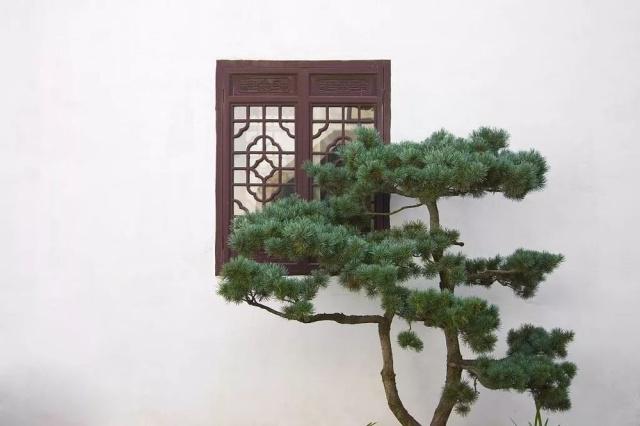 驚艷世界的中式庭院，美哭了！
